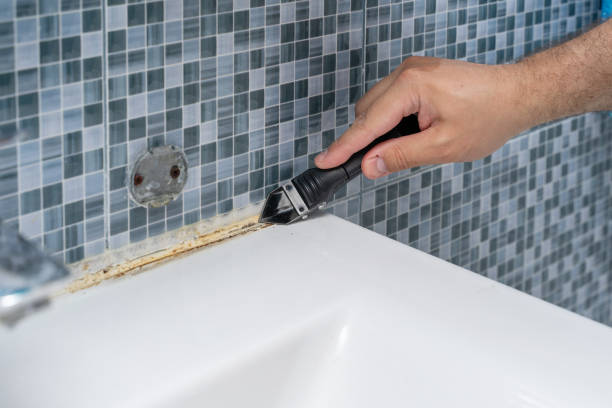 Best Toxic Mold Removal  in Spring Green, WI